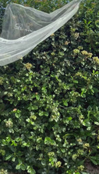 Panneau de bienvenue mariage brodé